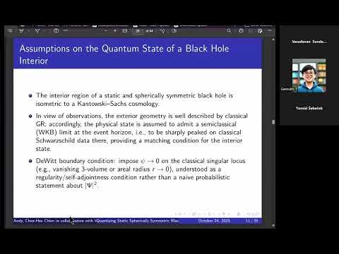 Andy Chien :- "Wheeler–DeWitt Quantization of Static Black Hole Interiors"