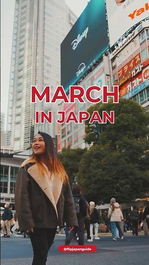 🚨 March in Japan = the BEST of winter & spring combined!