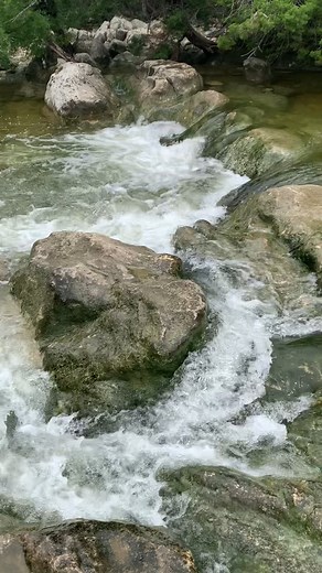 36K views · 1.1K reactions | Austin, Texas wildlife adventures! Which animal was your favorite? #herping #wildlife #nature #critters #austintexas #bugs #snake #hognosesnake #exploring #outdoors | Wild Attractions | Facebook