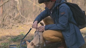 Free stock video - A woman with short hair puts her dog on a chain before going for a walk in the woods
