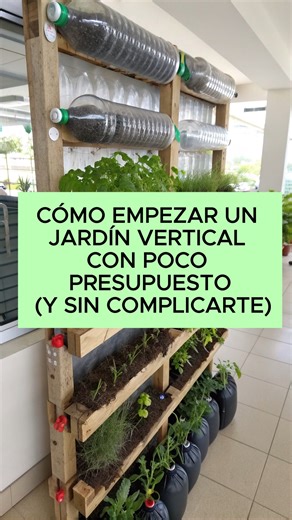 Mi Jardin facil en la casa on Instagram: "Cómo empezar un jardín vertical con poco presupuesto (y sin complicarte) ✨🌿 ¿Quieres un jardín vertical hermoso, pero crees que es caro? ¡Buenas noticias! Puedes empezar gastando muy poco y usando materiales que ya tienes en casa. Aquí te cuento cómo: 🪴 1. Elige una pared con buena luz No tiene que ser luz directa. Con luz brillante o semisombra es suficiente para la mayoría de plantas resistentes. ♻️ 2. Usa materiales económicos o reciclados Aquí algu