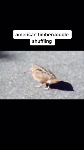 swiggity swooty, im coming for that booty