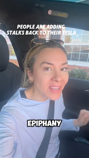 Kim Java 🧿 | Do you think @teslamotors should have gone all in with the yoke or Squircle. #tesla #tipsandtricks | Instagram