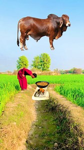 1.6M views · 7.3K reactions | wildlife decides to join me for lunch. 女 #WildEncounters #UnwantedKitchenGuests | Rambo VFX | Facebook