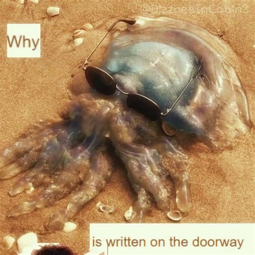 #DEC24 || Ur bday ur song + book quote || IM GONNA START EDITING JERCY MORE HEHE ||