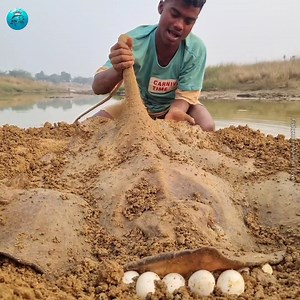 Amazing fishing catching video #fish #video #reels | Fisherman Animal Lover-Original