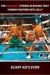 246K views · 1.3K reactions | Scary KO's The DEADLIEST Strikes In Boxing That ... | Street Fight Europe | Facebook