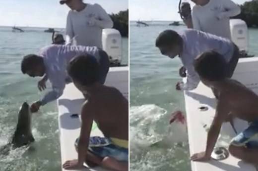 Florida dad bitten by shark near Summerland Key, Florida
