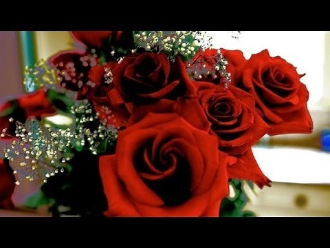 Le langage des roses
