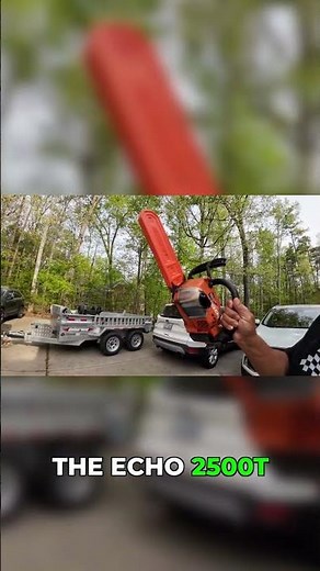 Small Tree Big Lessons: Proper Removal Technique #treework #chainsaw #arborist