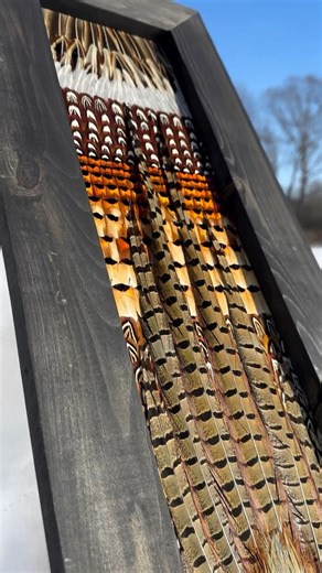 All Feathers Taxidermy on Instagram: "Another Stunning Rooster mounted up! This bird had some amazing colors and we can’t wait to see it on the wall at our clients home in Missouri! If you’d like a pheasant piece done or want a tutorial on how to DIY one, reach out through DM today! On to the next one! #Pheasant #FeatherArt #Art #Mounts #Taxidermy"