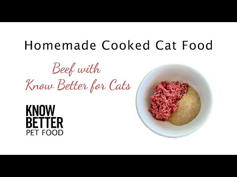 How to Make Homemade Cooked Cat Food - with Know Better for Cats & Beef