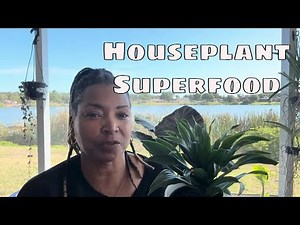 🌿 Secret to Healthier Houseplants: Compost 101 for Indoor Plants 🌿 Peggy's Plants