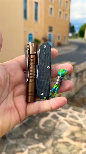 Victorinox compact mod & Reylight pineapple mini flashlight my edc 😎#edc #victorinox #sak