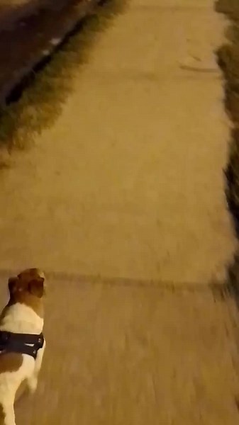 Videos de Gastón Cruz (@gastoncruzzz) con “sonido original - RE DE INFIEL”