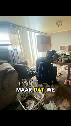 108 reactions · 78 shares | Beter één vogel in de hand… dan meer honderd in je living, op je kasten en in je bed… 列 ExtremeMakeoveref#BeforeAndAftere#CleaningTikTokTra#Transformatiel#HelpingHandsM#REMOVITFro#FromMessToMagick#TikTokDoetIetse#FeelGoodContentRea#RealStorieso#StopMetScrollenilMaarWaar #shockcontent #cleantok #lifechanging | Removit | Facebook