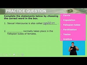 Natural Sciences Grade 9 Human Reproductive System Video 2 Segment 1