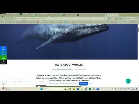 citation machine website citation 2025