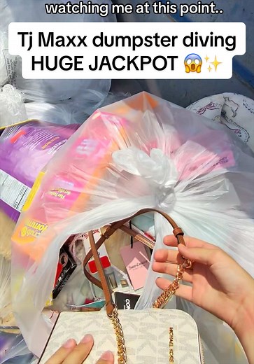 TJ Maxx Dumpster Diving Jackpot: Giant Pink Suitcase Found