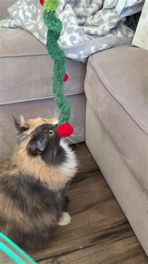 Leo, Ashby and Matrix (@leo.ashby.matrix)’s videos with Stranger - Official Sound Studio