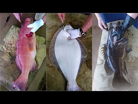 Watch Ikejime Method For Tastier Fish | Ike Jime The Japanese To Kill Live Fish
