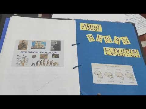 Class 12th project file on EVOLUTION | PROJECT FILE | BIOLOGY PROJECT FILE | 🎀💢