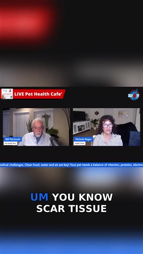 Understanding Your Dog's Poop: What It Means | Talk 4 Media, LLC