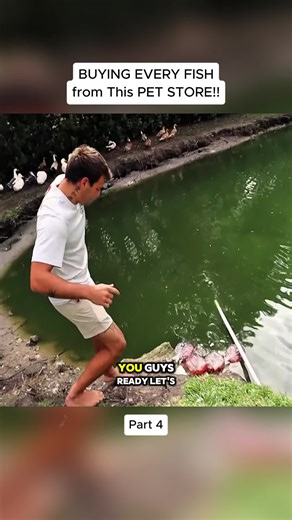 Buying Every Fish from a Pet Store: Part 4 Experience