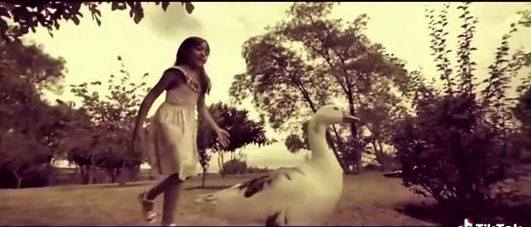 Amarte duele - America Pop Míralo completo en nuestro canal de YouTube #americapop #bolivia🇧🇴 #cumbia #amarteduele #americapop🎉🇧🇴 #peru🇵🇪 #argentina🇦🇷