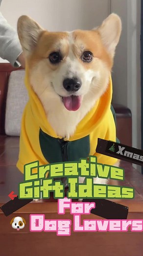 Creative Gift Ideas for Dog Lovers