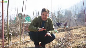 Jab prune kiye gaye stems ko decompose hone diya jata hai, to yeh organic matter ban jata hai. Isse soil mein karkara banta hai, jo ki plants ke liye beneficial hota hai..🍎🍏 Baagwani Padho Fir Aage Badho..🍎 #farmers #pruning #Kashmir #farming #himachal #uttarakhand #JaiJawanJaiKisan #pruningseason✂️✂️✂️ #education #knowledge #knowledgeispower | Jittu Chauhan Orchardist