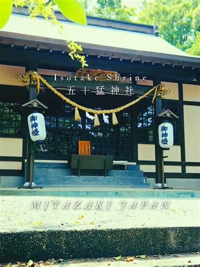 【縁と命を守る祈り】⛩️五十猛神社 宮崎県日向市財光寺 五十猛神社の境内には、人々の暮らしに寄り添う もう一つの信仰が息づいています✨ それが粟島明神（あわしまみょうじん）。 ここには 🤍少彦名命 🤍神功皇后 が祀られています。 少彦名命は、古くより 縁結び・安産・婦人病平癒に霊験あらたかな神さま🌸 紀伊国（和歌山）の信仰が伝わり、庶民の願いを受け止めてきました。 また五十猛神社には 🌾宇賀魂命 🗻磐長姫命 ⚔️健御名方命 📚菅丞相 といった多彩な神々も祀られ、自然・五穀・縁・学びまで幅広いご神徳を授かれます✨ 明治40年には神饌幣帛料供進社にも指定され、地域の大切な鎮守として今も篤い信仰を集めています⛩️ 木を育て、命をつなぎ、人と人の縁を結ぶ場所。 それが五十猛神社です🌿 #五十猛神社 #日向市神社 #財光寺 #shrine #神社巡り