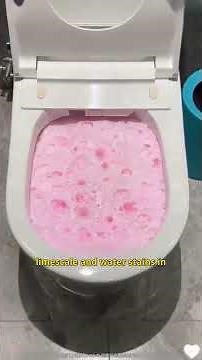 No Scrubbing! Foaming Toilet Powder Lifts Stains & Leaves a Peach Scent 🚽✨