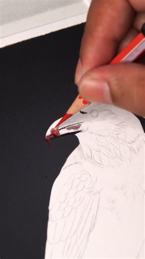 483K views · 11K reactions | Corvo ‍⬛ #desenhorealista #desenhos #prismacolor #comodesenhar #fabercastell #pintura #colorir #draw #lapis | Cleison Magalhães arts | Facebook