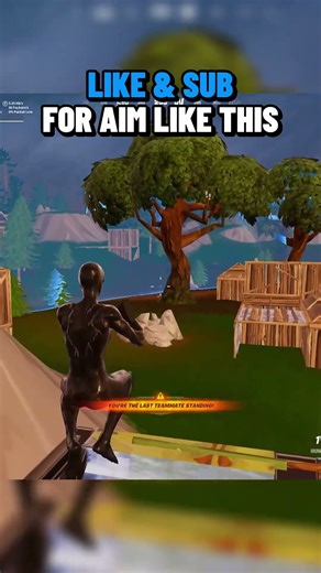 Pro Players Are Using These Exact Settings #fortnite #gaming #shorts