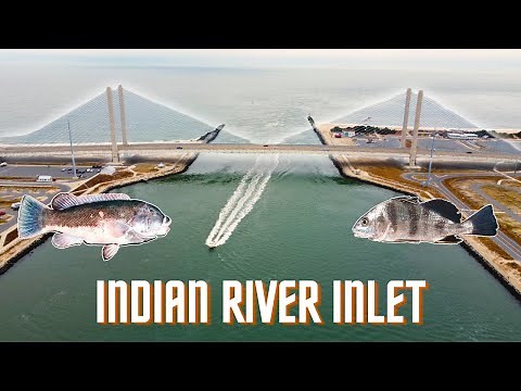 Fishing Indian River Inlet | South Jetty Delaware (Tautog, Black Drum)