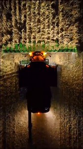 Sitting in the snow thinking back to days like this. 🤩 | Monette Farms