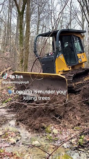 The Truth Behind Logging: A Deep Dive into the Industry