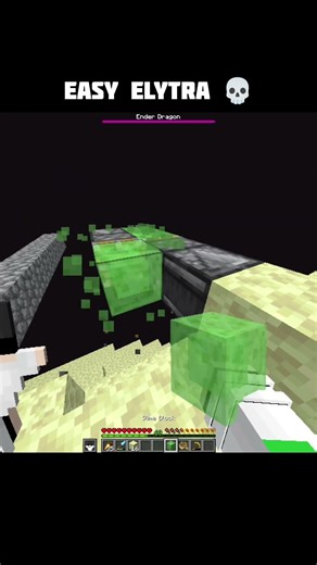 No more struggle for ELYTRA ☠️