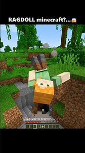 RAGDOLL Minecraft is INSANE...💀
