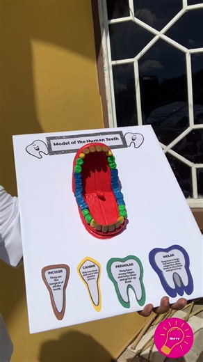 Creative School Project Ideas in Montego Bay, Jamaica