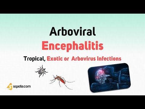 Tropical, Exotic or Arbovirus Infections | Arboviral Encephalitis