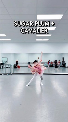 Grand Pas de Deux🩰✨ #ballet #shorts