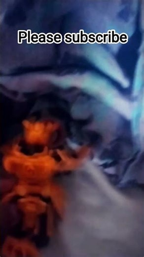 golden figure teaches lil dude math