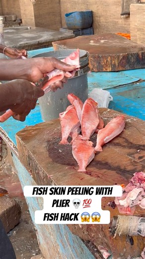 Smart Fish Cleaning Hack You Must See! Bull Eye Fish Skin Peeling with Plier 🐟🔧