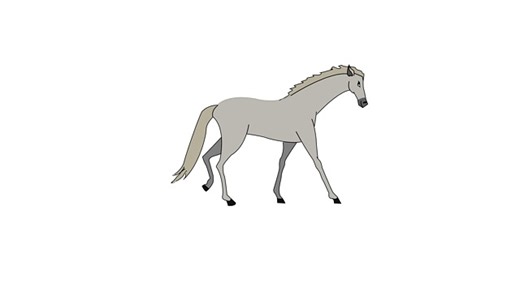 Horse, Gallop, Horse Race. Free Stock Video