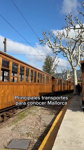 Excursión en Tren, Tranvía y Barco en Mallorca