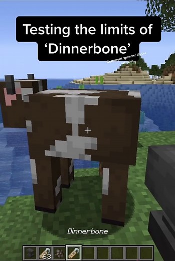 Minecraft on TikTok