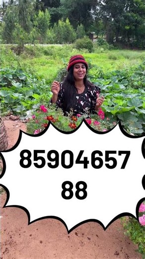 Chedikal ishtamullavarkk🌿Chedikalil ninnum varumanam nedaam ennariyamo?