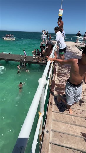 How to Perform a Manu Dive in the Pool